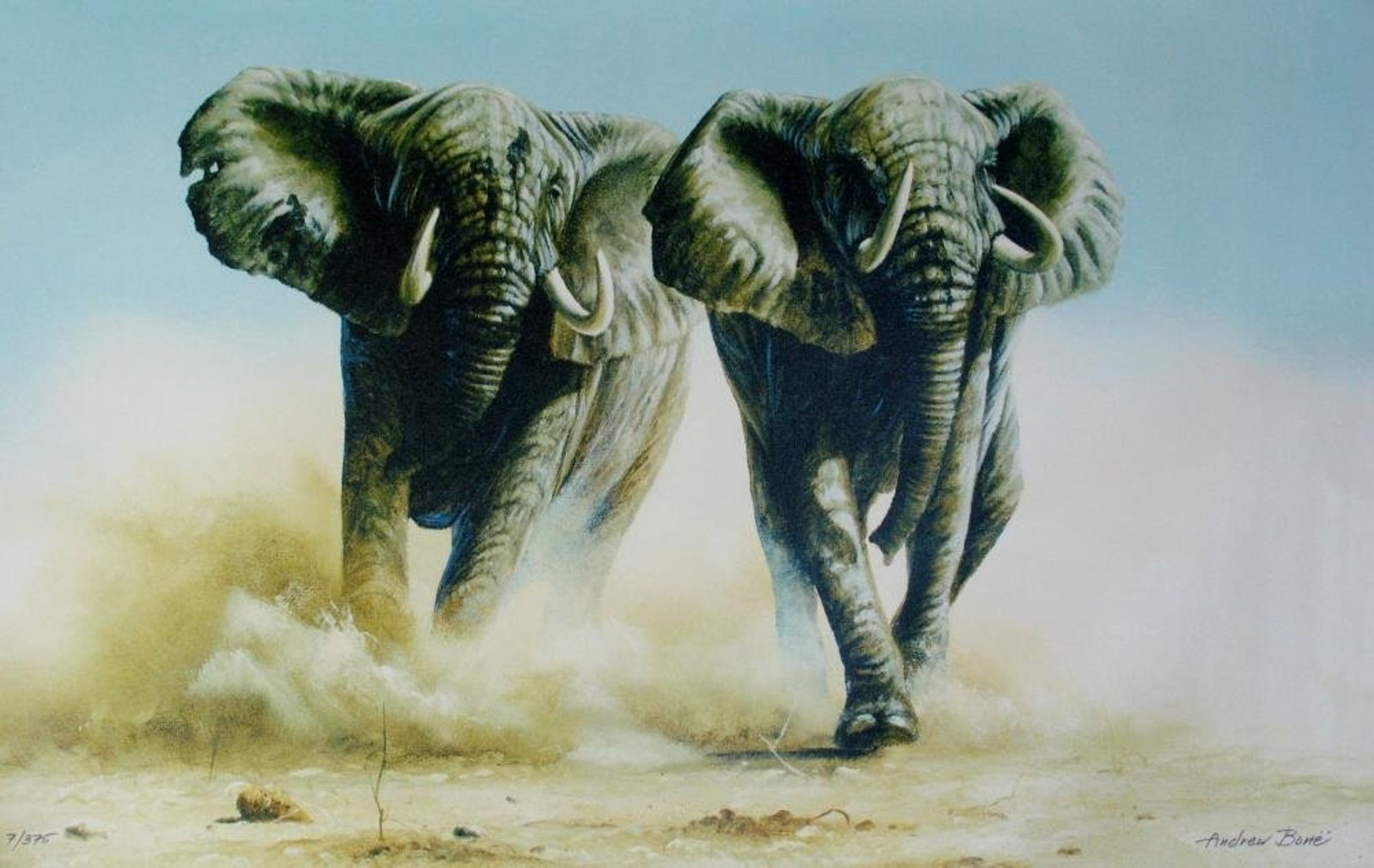 Elephant Stampede by Andrew Bone